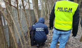 Znęcał się nad swoją partnerką, zabił jej psa i wyrzucił przez okno.  35-letni oprawca jest już za kratkami [Wideo, foto]