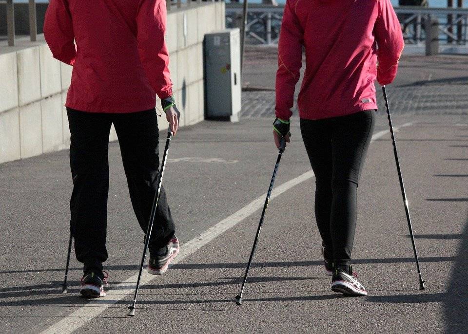 nordic-walking-1369306_960_720