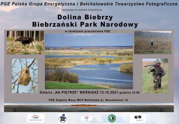 plakat-bpn-2021---btf-ii