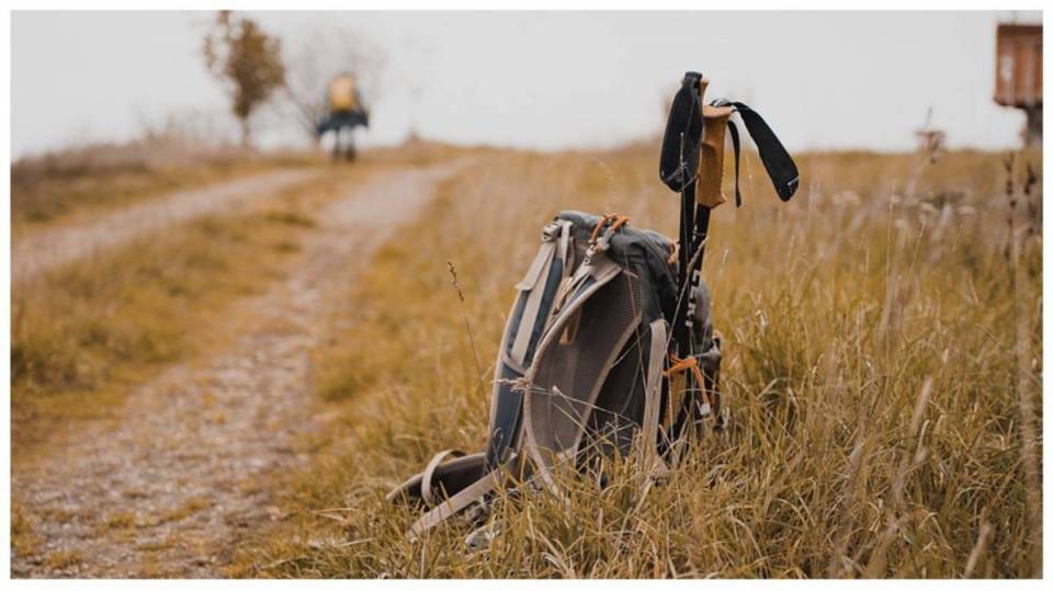 Kolejna odsłona Wakacyjnego Trekkingu przed nami! Jaką wycieczkę tym razem propomuje radomszczański MOSiR?