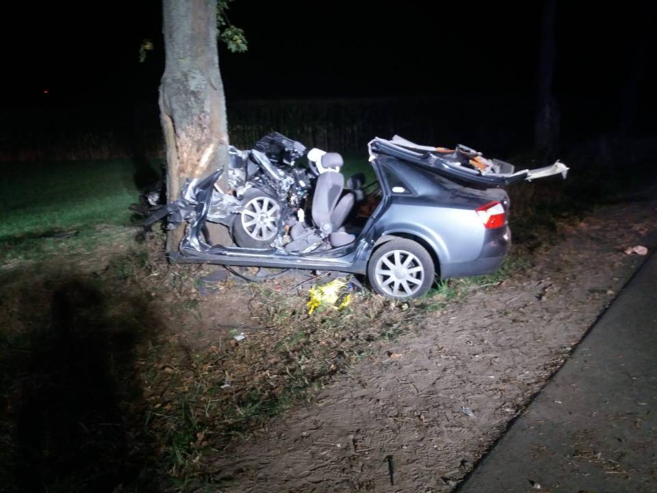 Poważny wypadek w gminie Dalików, auto roztrzaskało się o drzewo