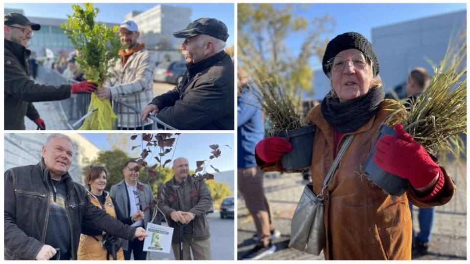 Błyskawiczna akcja "Drzewko za makulaturę". Kilka tysięcy sadzonek rozeszło na pniu w niespełna dwie godziny [Foto]