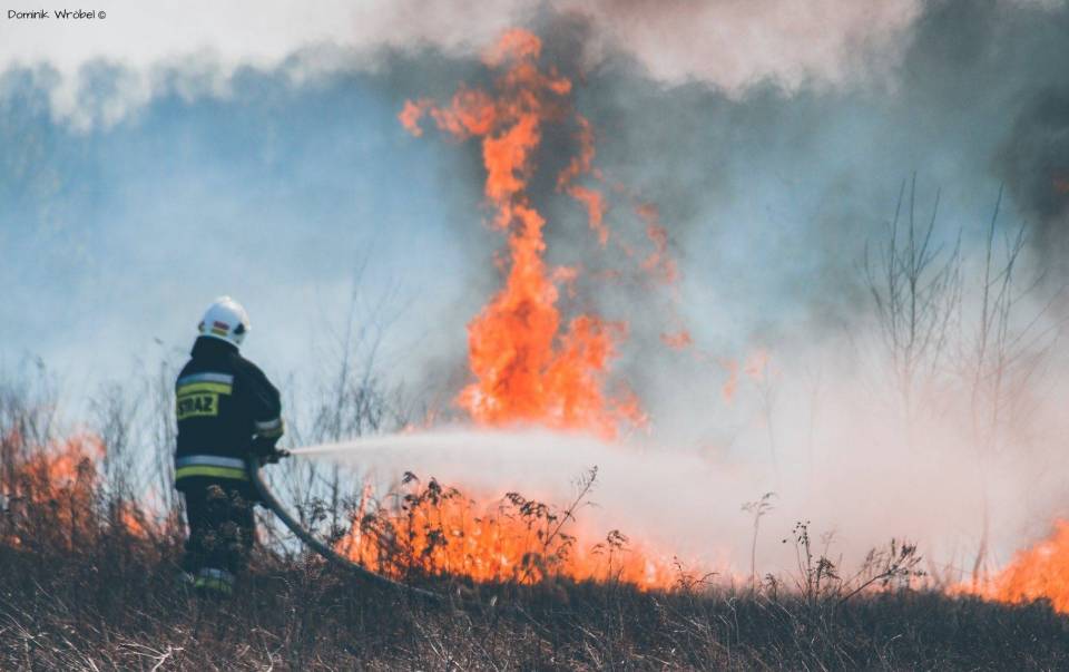 Trzy pożary na terenie Łęczycy, interweniowali strażacy